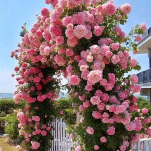 Роза Пастель Розе купить по цене от 605р. в интернет-магазине «Посадика» с доставкой почтой в в Симферополе и по всей России – [изображение №1].